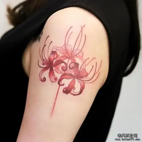 手臂彩色彼岸花纹身图案