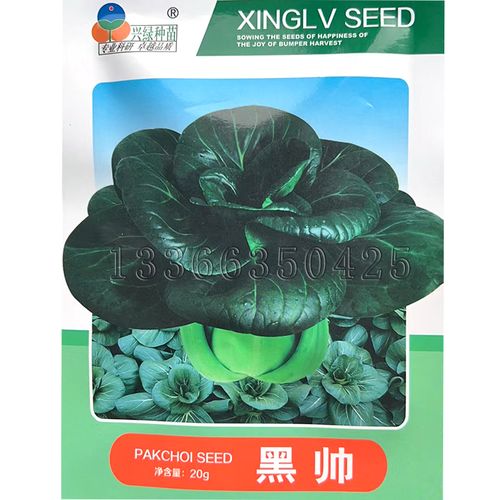 黑帅油菜种子 春秋墨绿色光亮束腰紧耐寒纤维少口感好青梗菜种子