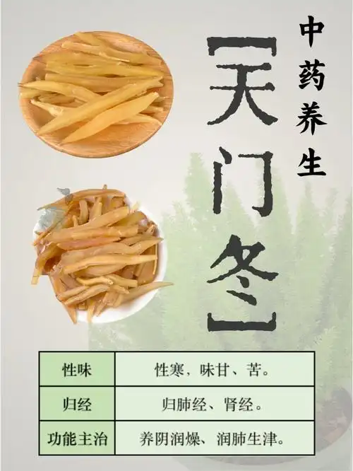 中药天门冬滋阴润燥清肺降火