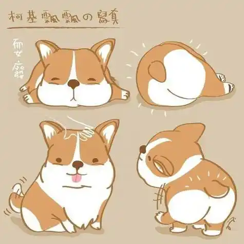 超简单的柯基简笔画49100简笔画狗狗柯基表情包小插画