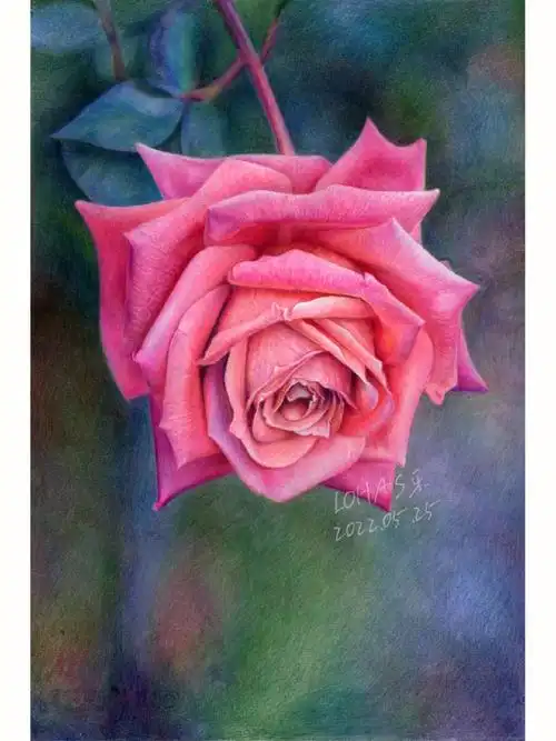 彩铅花卉完结了要准备下一个了