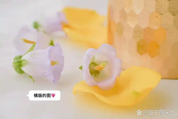 美图秀秀无缝拼接,一分钟学会,尾图看效果哦