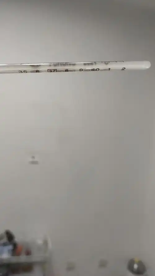 sos求一张发烧的体温计照片