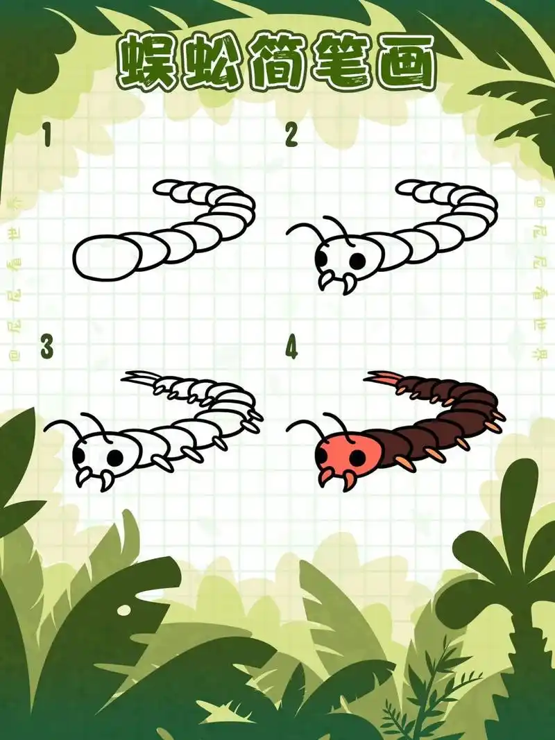 66蜈蚣简笔画蜈蚣卡通 蜈蚣scolopendridae为陆生节肢动物,身体由许多