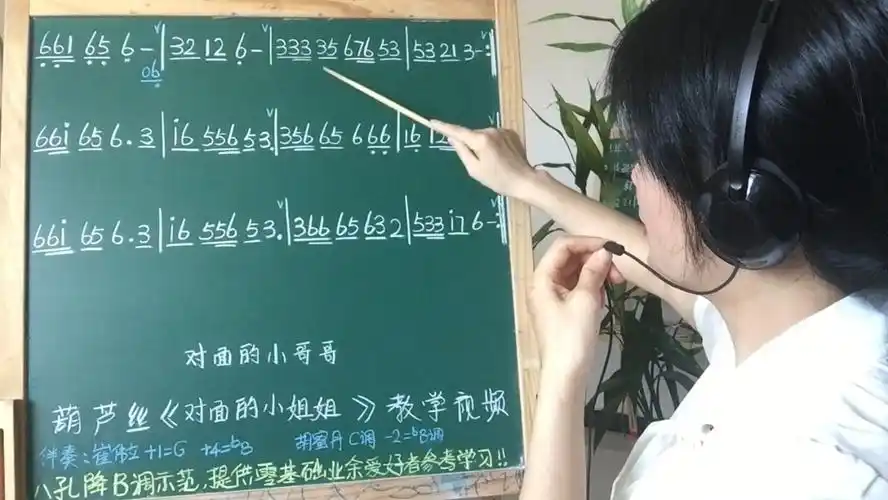 对面的小哥哥对面的小姐姐葫芦丝