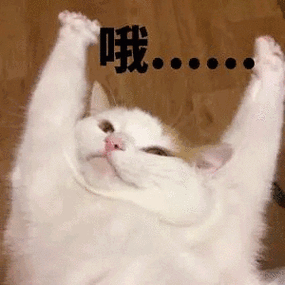 哦●●●●● - 发表情 - fabiaoqing.com