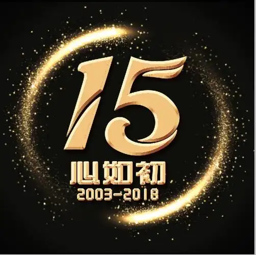 大连分公司十五周年主题logo设计