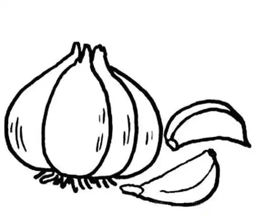画大蒜的画法大蒜简笔画,教你画一块卡通大蒜大蒜简笔画怎么画步骤四