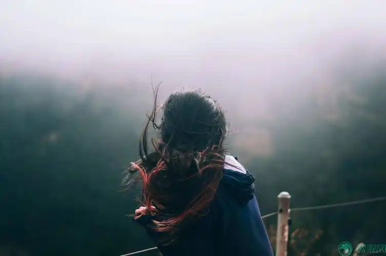 女人,女孩,女士,人,背影,沉思,站,头发,波浪,摇摆,自然,悬崖,雾,旅行