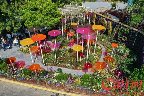 深深的爱2021粤港澳大湾区深圳花展抢先看