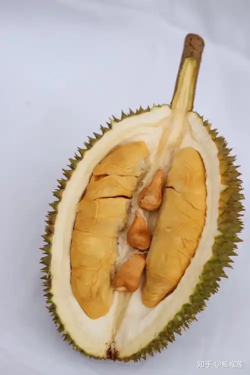 马来西亚d201江海榴莲