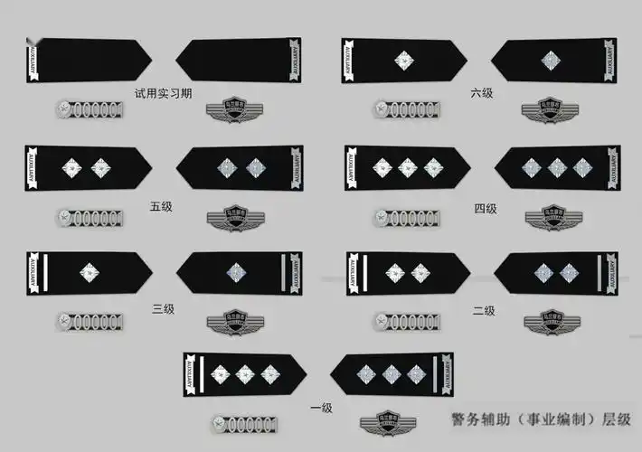 这家公安局正式宣布辅警改革!最新款辅警肩章,警号,胸徽很漂亮!