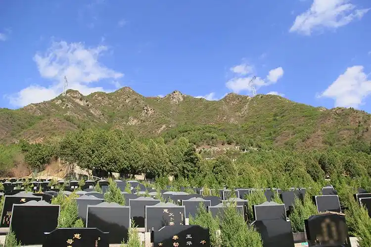 按照传统丧葬习俗,坟墓以修建在山上为宜,因为古人在选墓时,讲究"前有