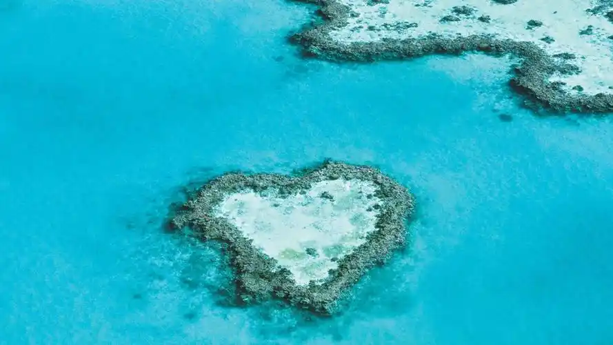 圣灵群岛水上飞机1小时之旅汉密尔顿岛往返俯瞰心形礁白天堂沙滩希尔