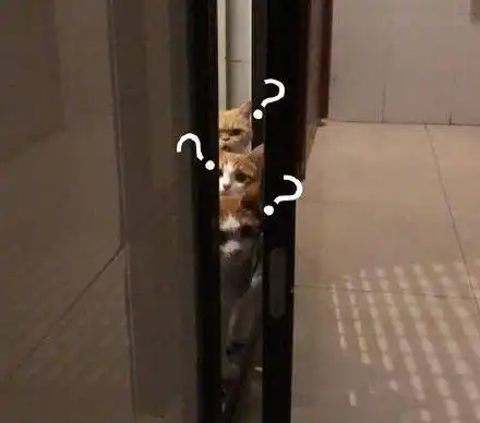 带问号表示疑问的表情包合集