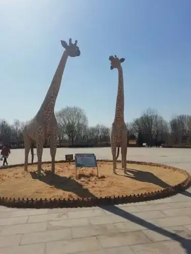 初春风光正好时,携家带口园来逛——德州动植物园一日游