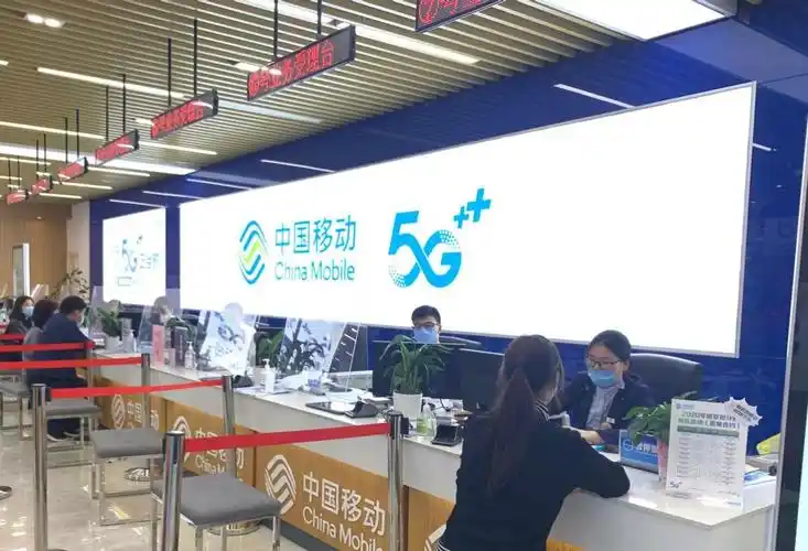 通过掌上营业厅 app,微信公众号,网上营业厅,10086 热线,139邮箱等线