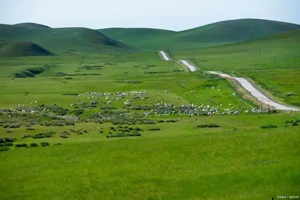 它是世界著名的天然牧场,世界四大草原之一,被称为世界上最好的草原