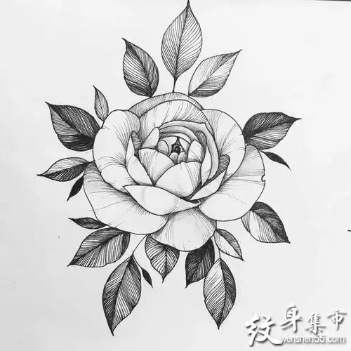 素花女武士艺伎纹身,素花女武士纹身手稿图案大全