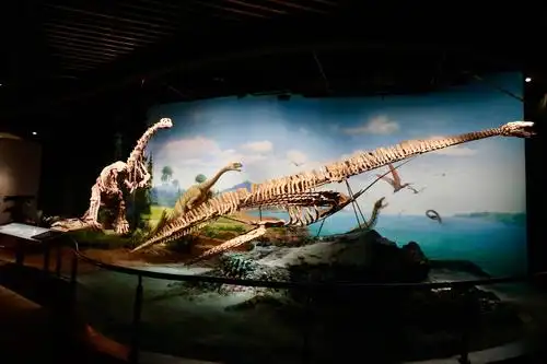 澄江化石博物馆