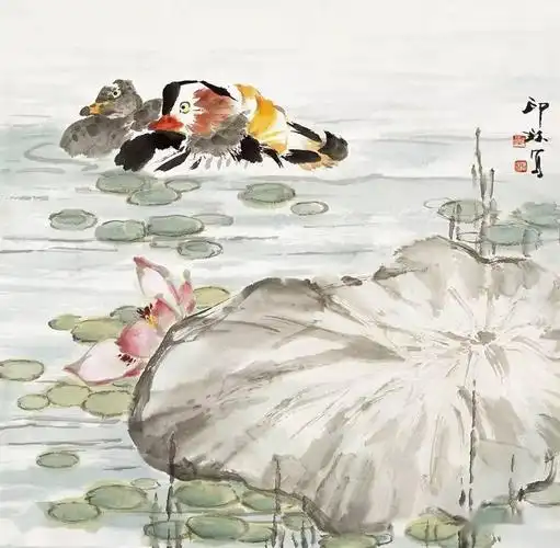 萧朗画荷50幅,美极了!_荷花