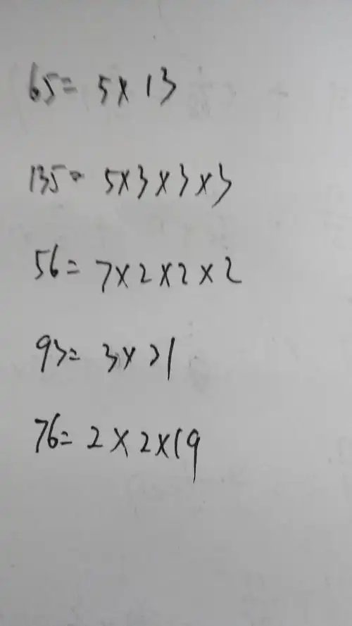 分解质因数 65 135 56 93 76