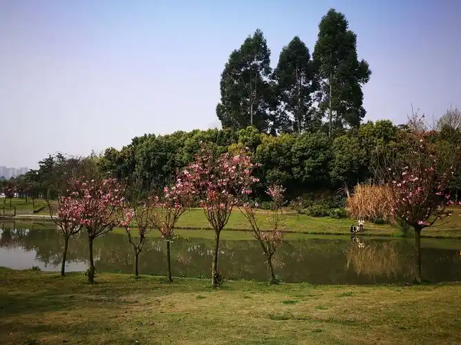 成都市双流中心公园