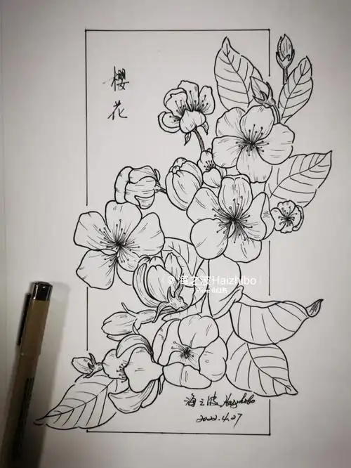 画画临摹94 含过程 樱花～爱情与希望的象征