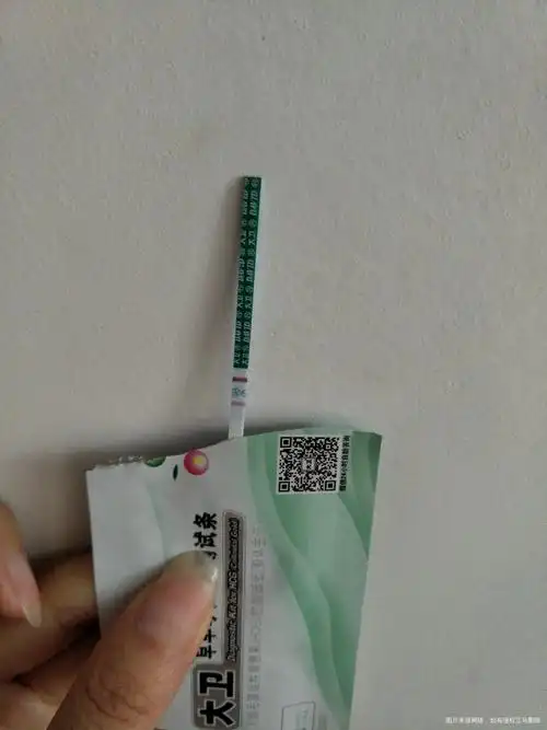 末次10月24早孕试纸阳性