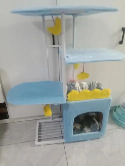 旧物改造  #旧物改造手工diy  #手工diy  #花架  #旧物利用