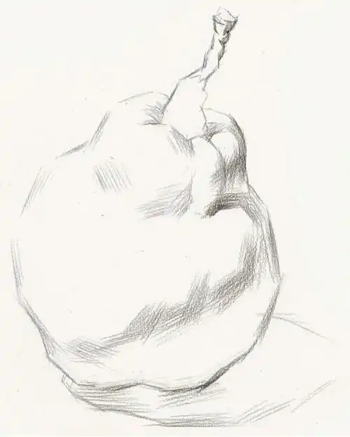 朴实无华的素描梨子71干货知识