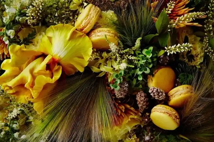 马卡龙 - 堆糖,美图壁纸兴趣社区