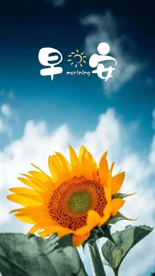 行业发圈丨朋友圈励志文案推荐(点下面文字阅读)人间清醒文案丨超正