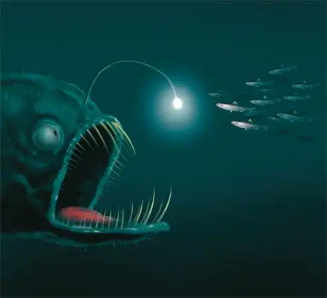 为什么深海里的鱼儿要挂"灯笼"