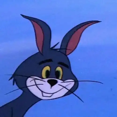 汤姆猫可以做头像