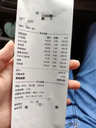 账单摔下来之后在医院吸氧现在一共有五只小猫咪在家,因为家里本来就