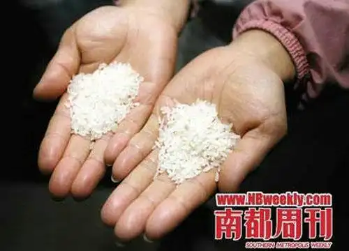 转基因大米,玉米,食用油的辨别方法