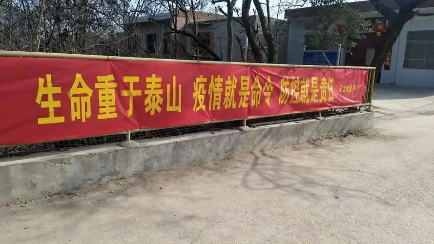 不忘初心勇担当,牢记使命抗疫情—雨金街办粉刘坚守一线抵抗新型冠状