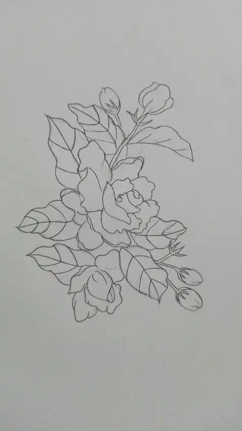 茉莉花的简笔画茉莉花的简笔画简单又漂亮