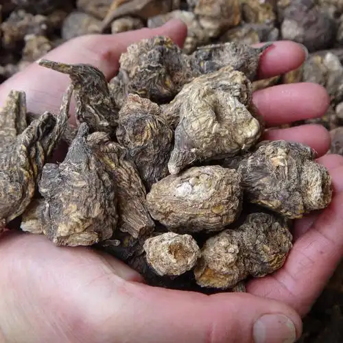 玛咖的功效及吃法(玛咖的功效及吃法泡水)