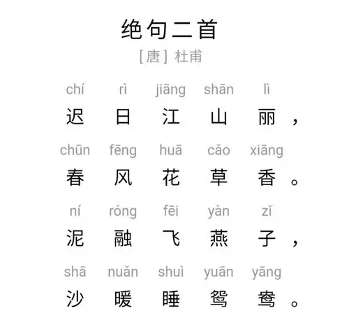 16——3.21网络小课堂大一班