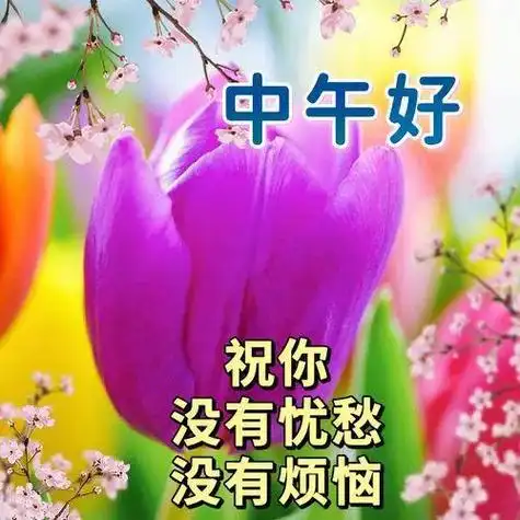 中午好图片大全午安祝福图片中午好问候中午祝您万事好午安送上祝福
