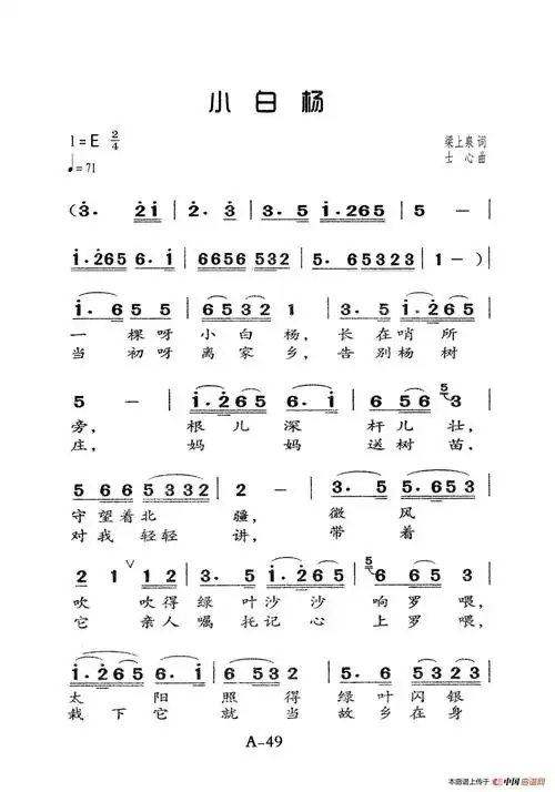 小白杨老人适用还不错个人制谱园地中国曲谱网