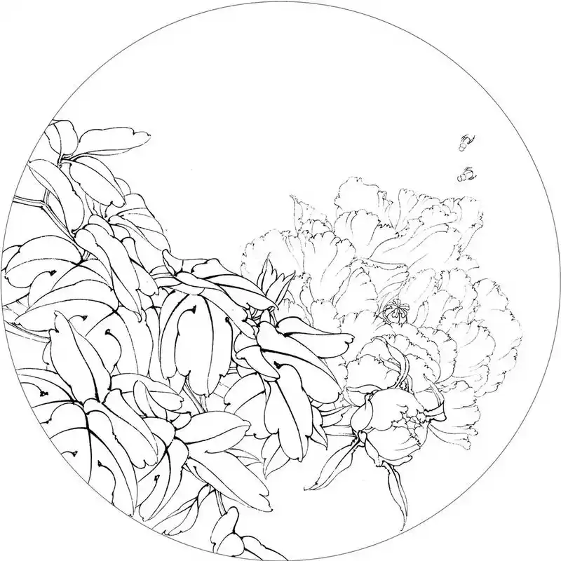 《凤丹白》步骤图欣赏 #工笔画 #工笔牡丹 #国画 #绘画过 - 抖音