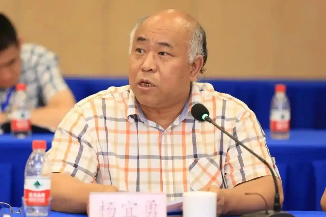 杨宜勇:鼓励女大学生和黑人结婚