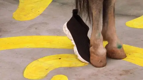 又是谁这么淘气,踩掉了体验者的鞋?