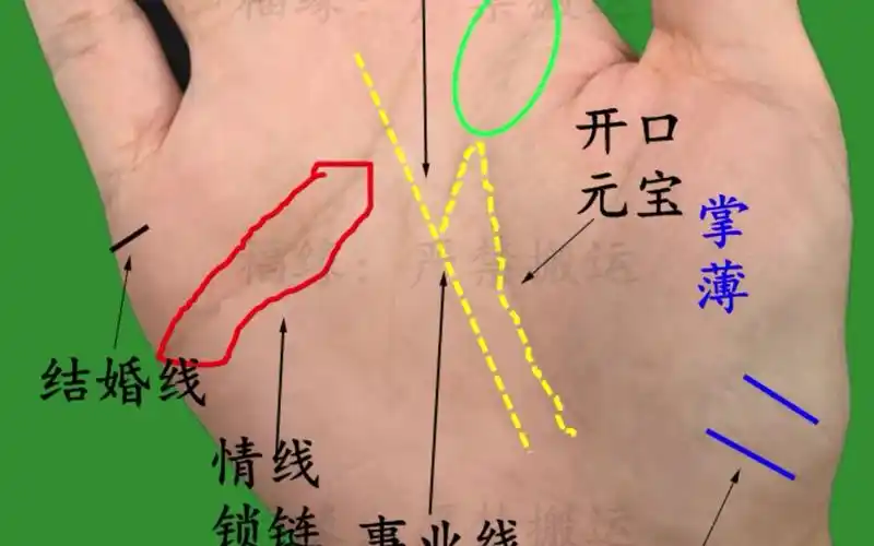 手相有条"魅力线"桃花旺!