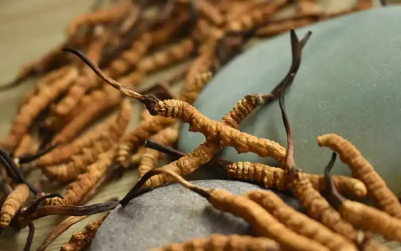 警惕,这地又发现入侵物种,你见过吗?俗称"植物杀手"