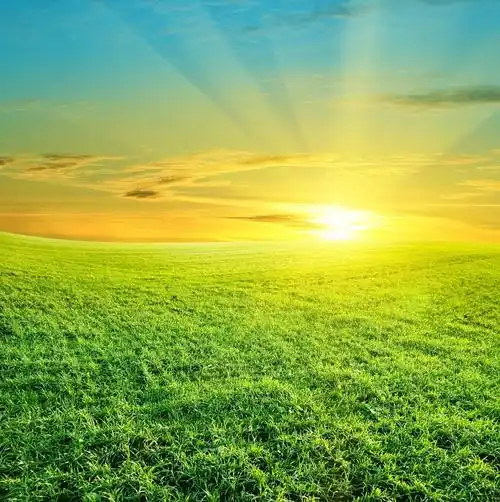 如何让自己运气很好,怎样才能让自己的运气好起来?