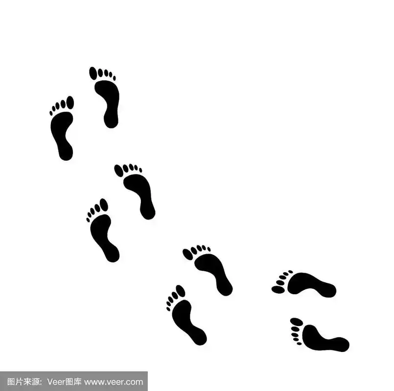 脚印,绘画插图,人,矢量,美国